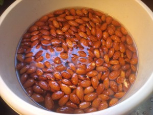 Bland ut mye salt i varmt vann. En kopp til halvannen til to liter vann omtrent.  Legg så mandler, hasselnøtter, valnøtter eller alle andre former for nøtter man ønsker i, og la det trekke noen minutter. 