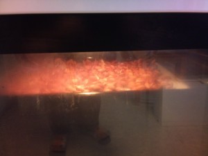 Varm ovnen til rundt 100 grader og litt, og sett plata høyt i ovnen. Still klokka på 10 minutter, rør litt om i mandlene og rist dem i ytterligere ti minutter.