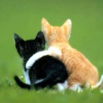 friends
