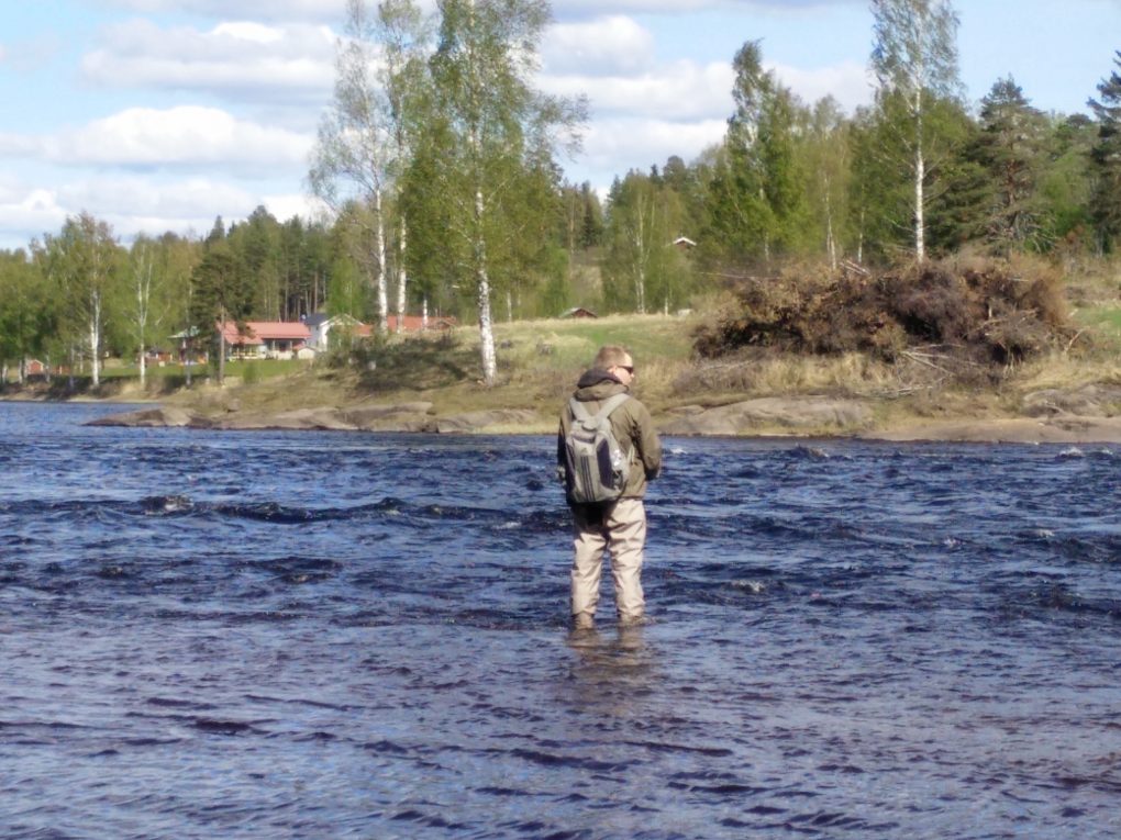 Fortsatt like glad