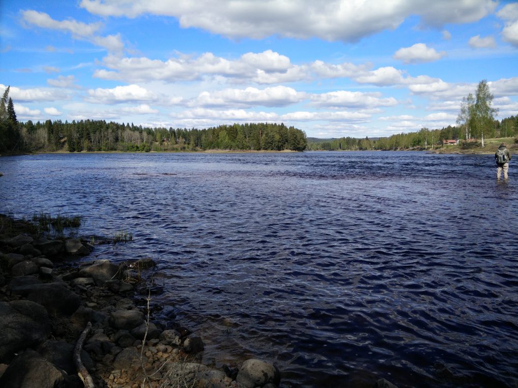 wp-1463320015512.jpg